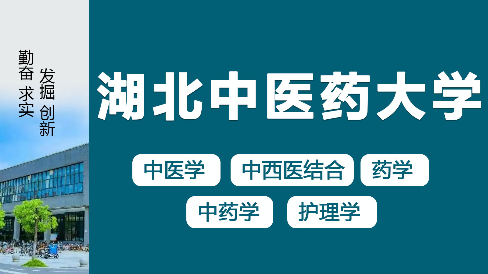 湖北中医药大学