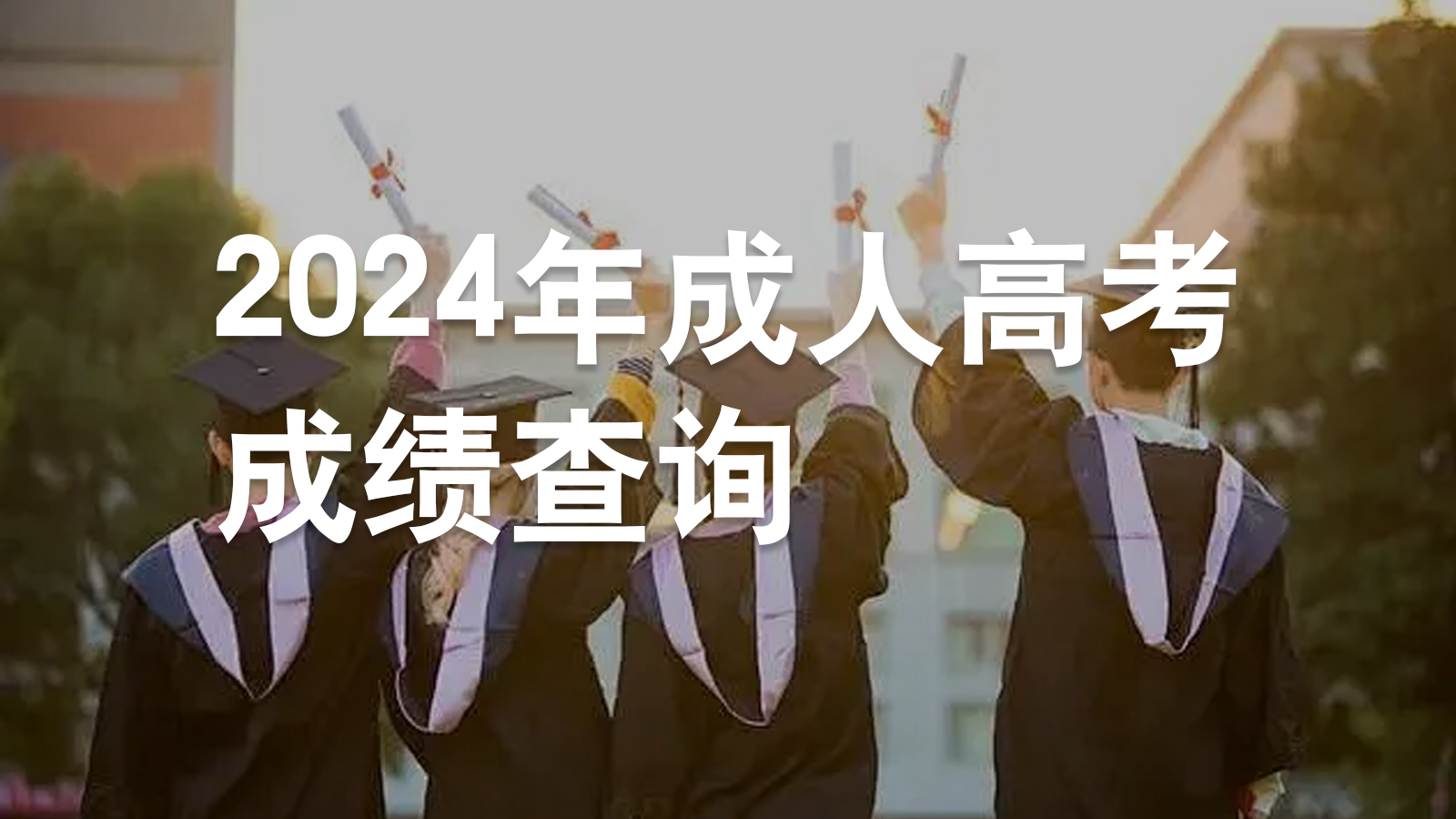 2024年成人高考成绩查询
