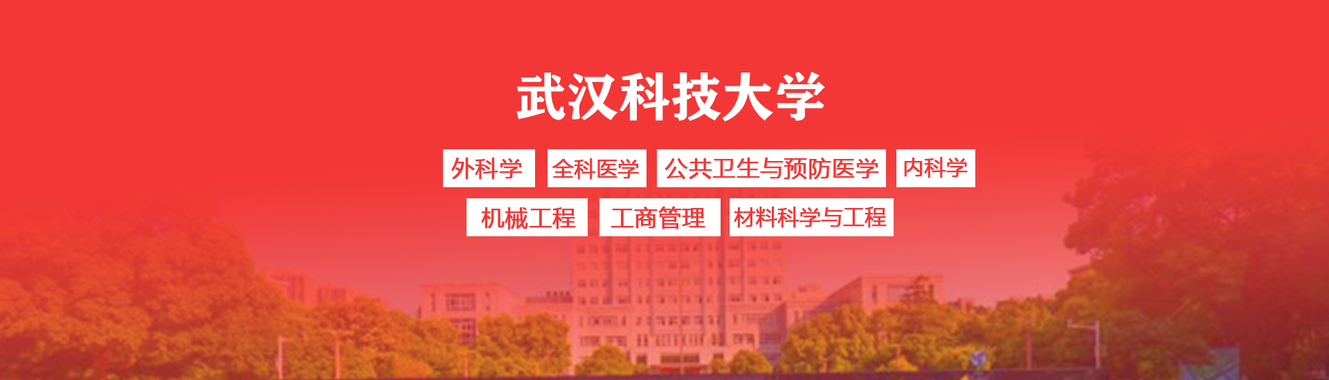 武汉科技大学