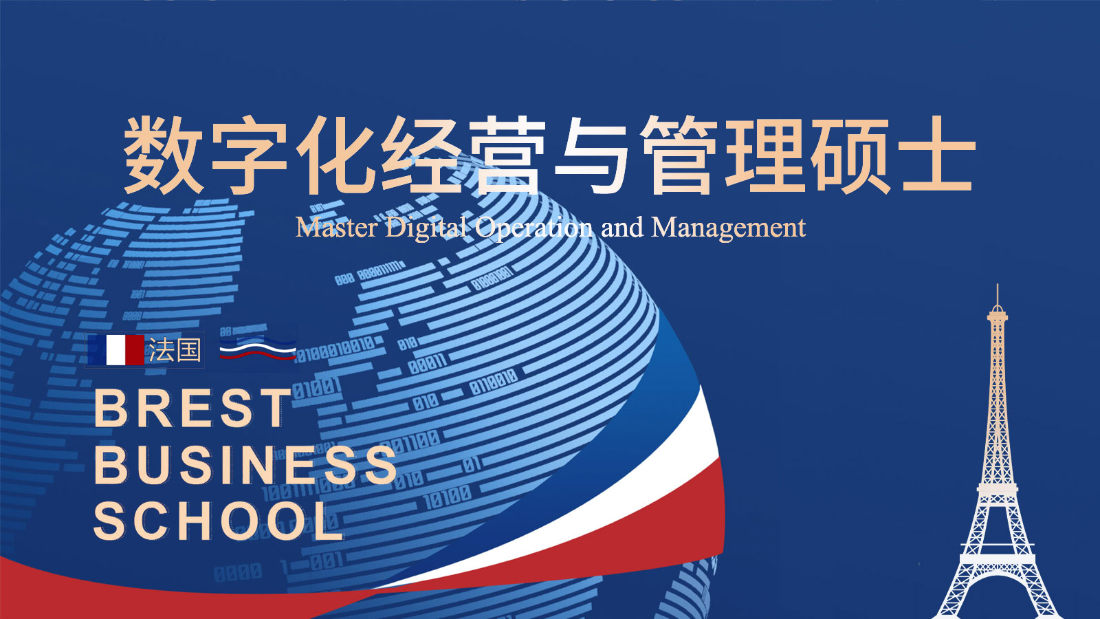 法国布雷斯特商学院数字化经营与管理硕士
