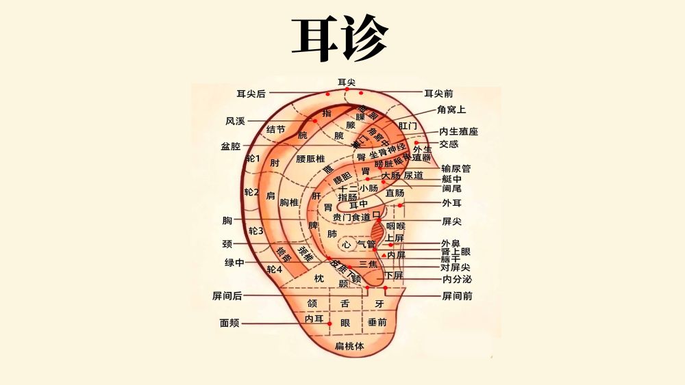 耳诊
